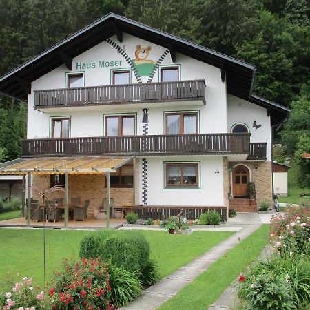 Haus Moser Wörschach Екстериор снимка