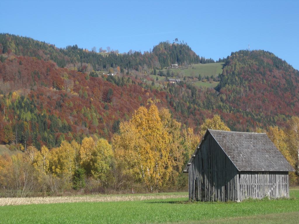Haus Moser Wörschach Екстериор снимка