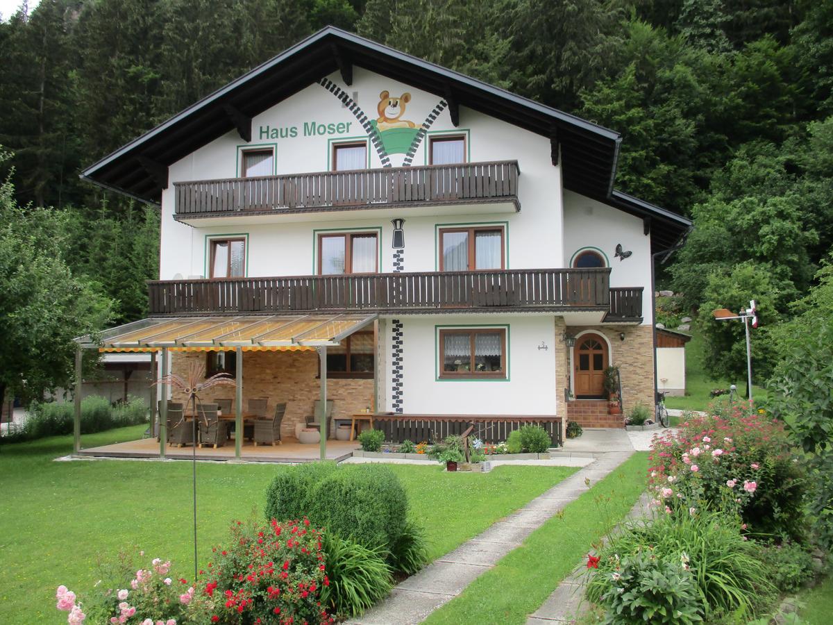 Haus Moser Wörschach Екстериор снимка
